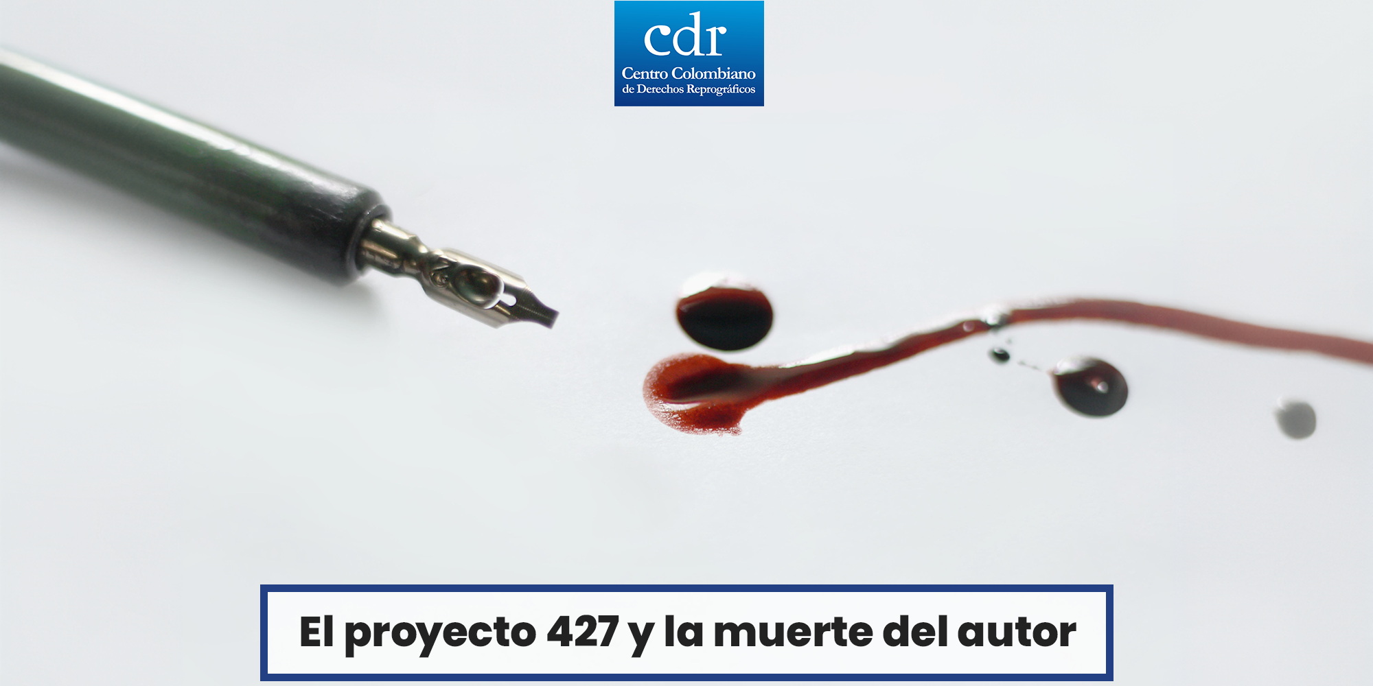 Proyecto 427 muerte del autor Web
